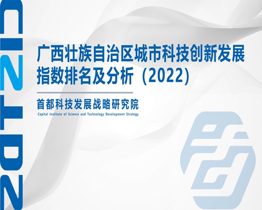 操骚屄肏屄【成果发布】广西壮族自治区城市科技创新发展指数排名及分析（2022）